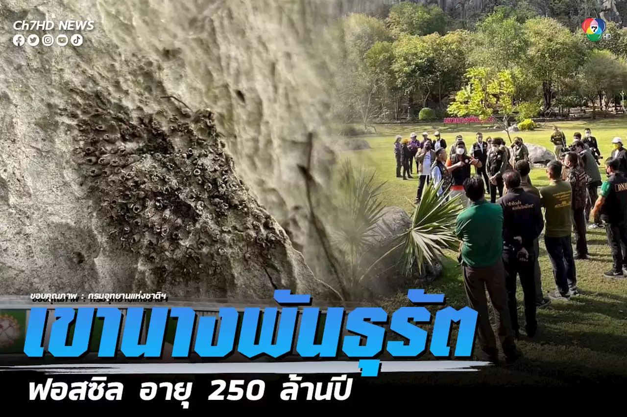 ซากดึกดำบรรพ์ เขานางพันธุรัต ฟอสซิล อายุกว่า 250 ล้านปี
