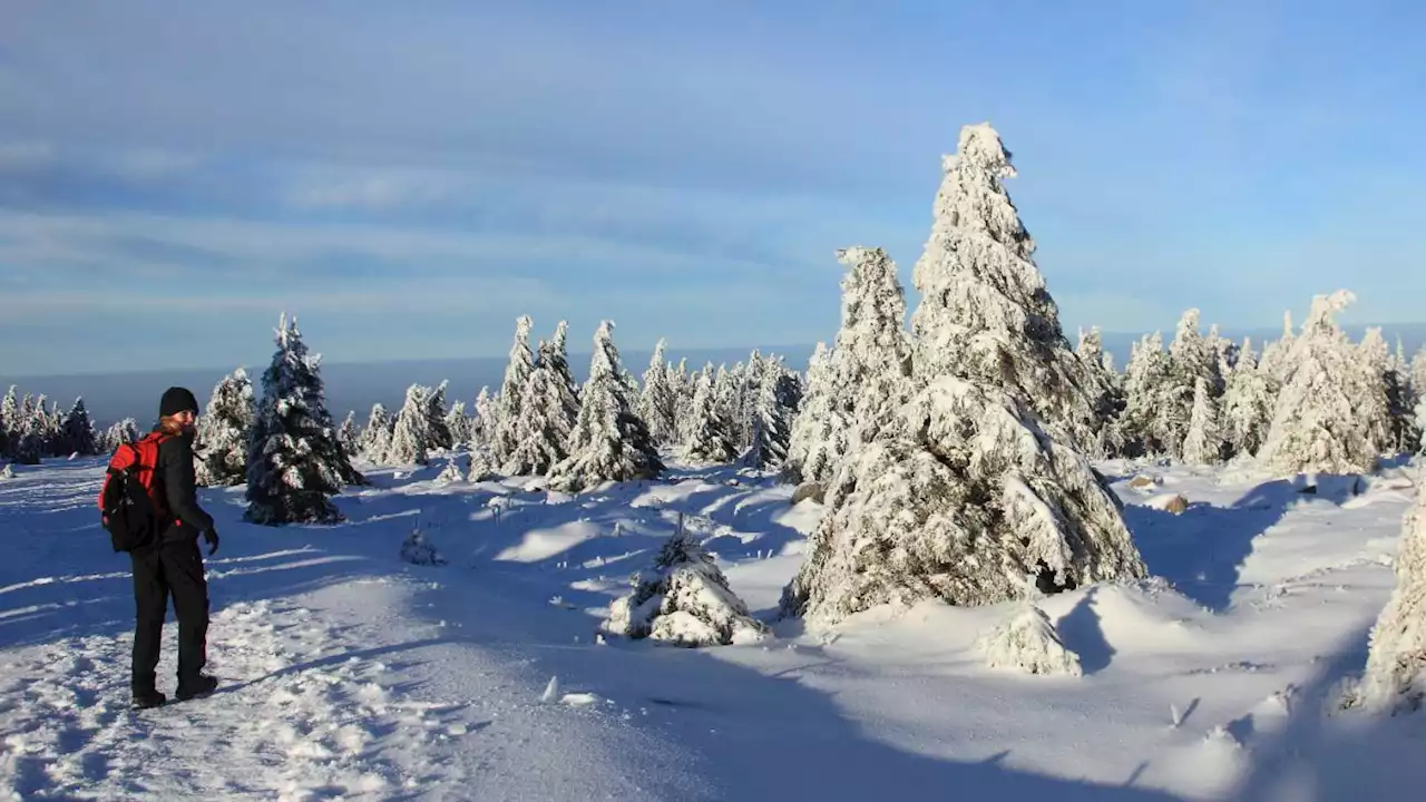 Mit Heinrich Heine auf den Brocken