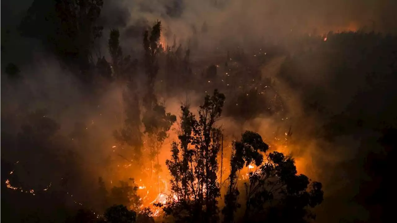 Mindestens 22 Tote bei Waldbränden in Chile