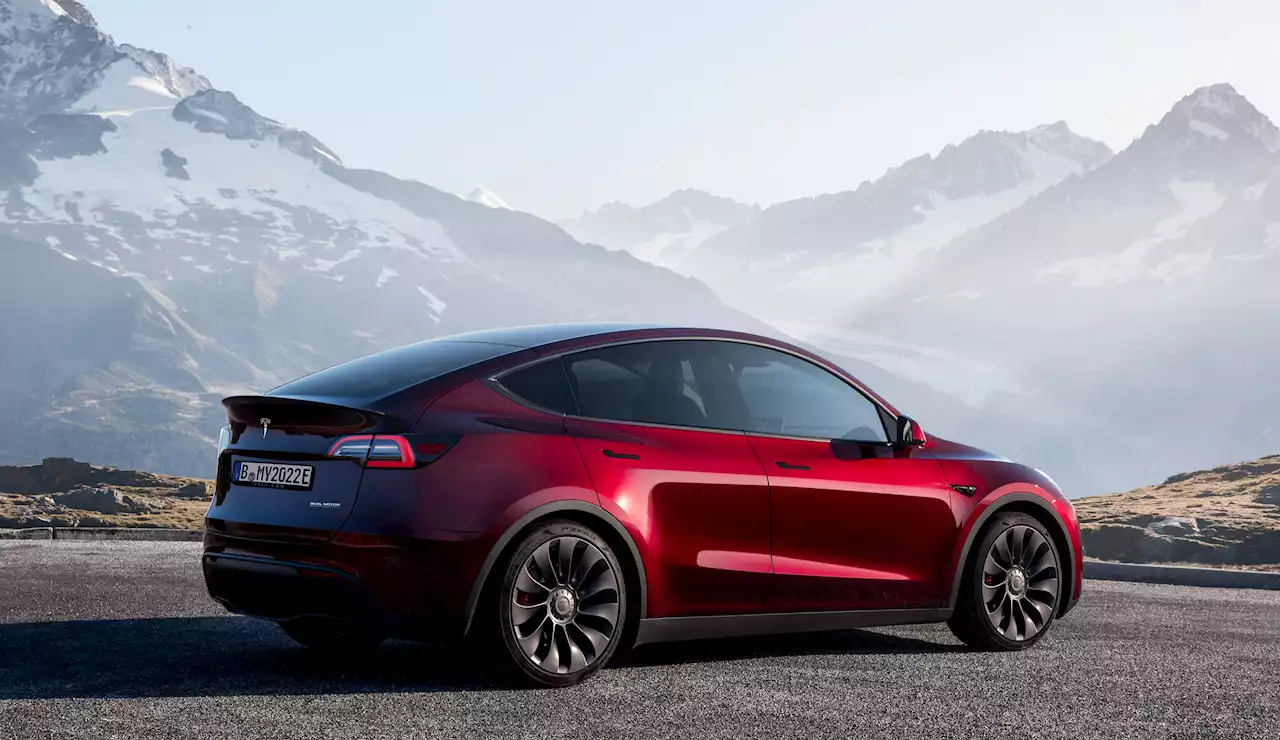 Treasury Now Classifies Tesla Model Y As An SUV