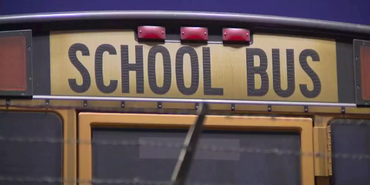 Boy, 6, sexually assaulted on school bus, mother says