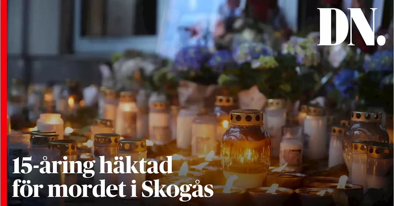 Två tonåringar häktade efter mordet i Skogås