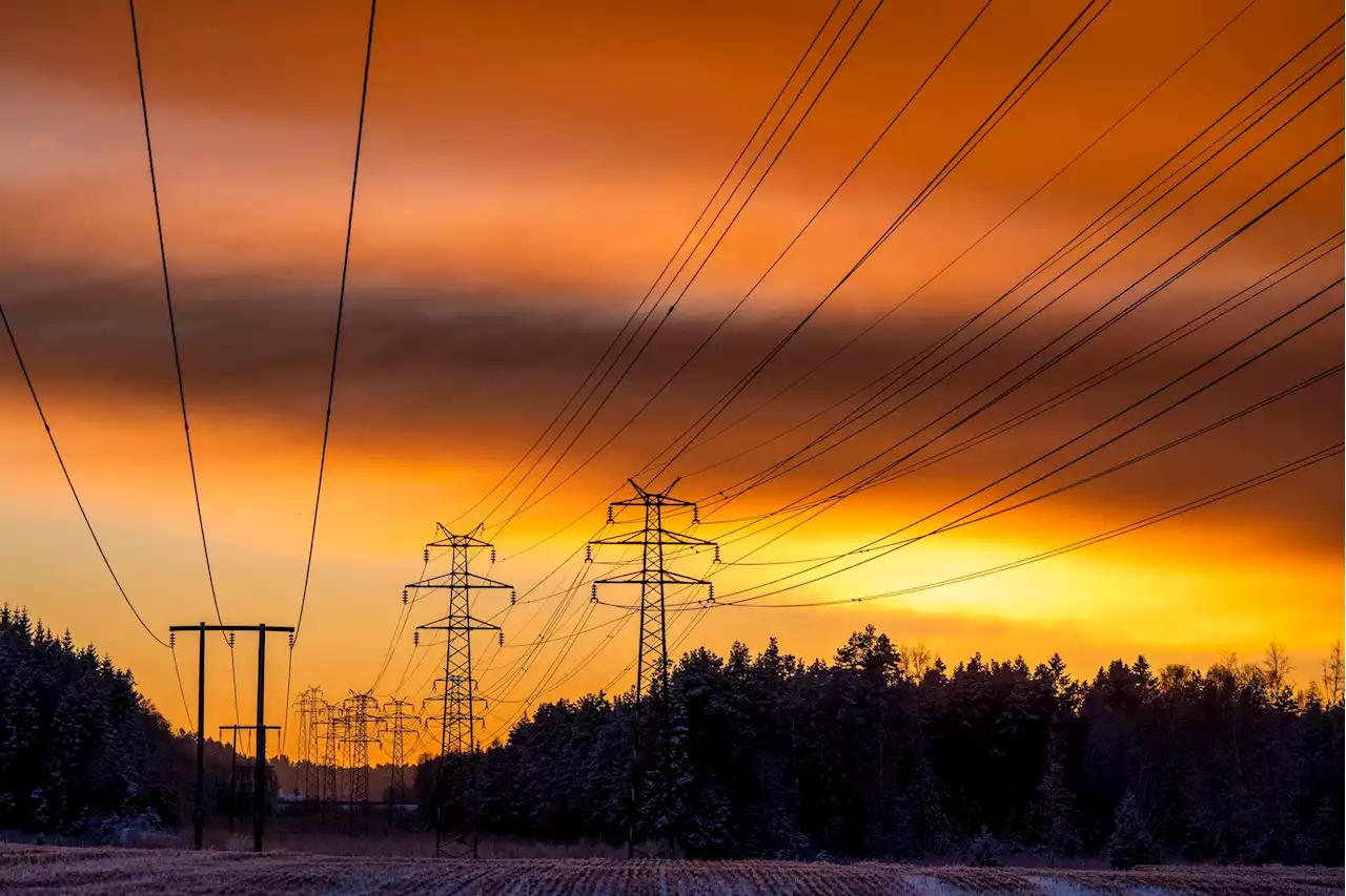 Tysk energistøtte er dobbelt så stor som den norske