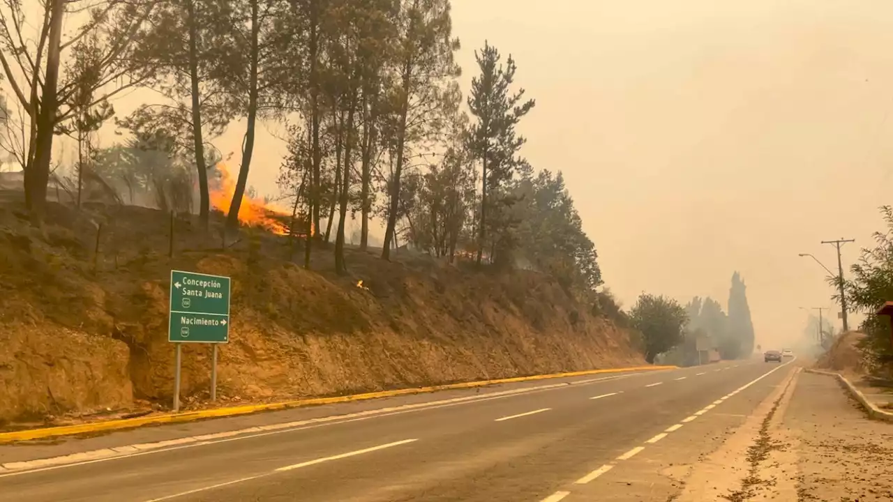 Incendios en Chile: Sube a 22 el número de muertos