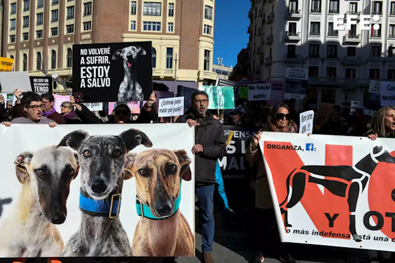 Manifestación en Madrid para pedir el fin de la caza con perros