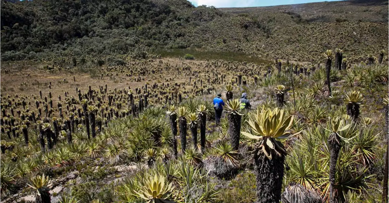 Una familia le pone el pecho a la defensa del Páramo del Sol