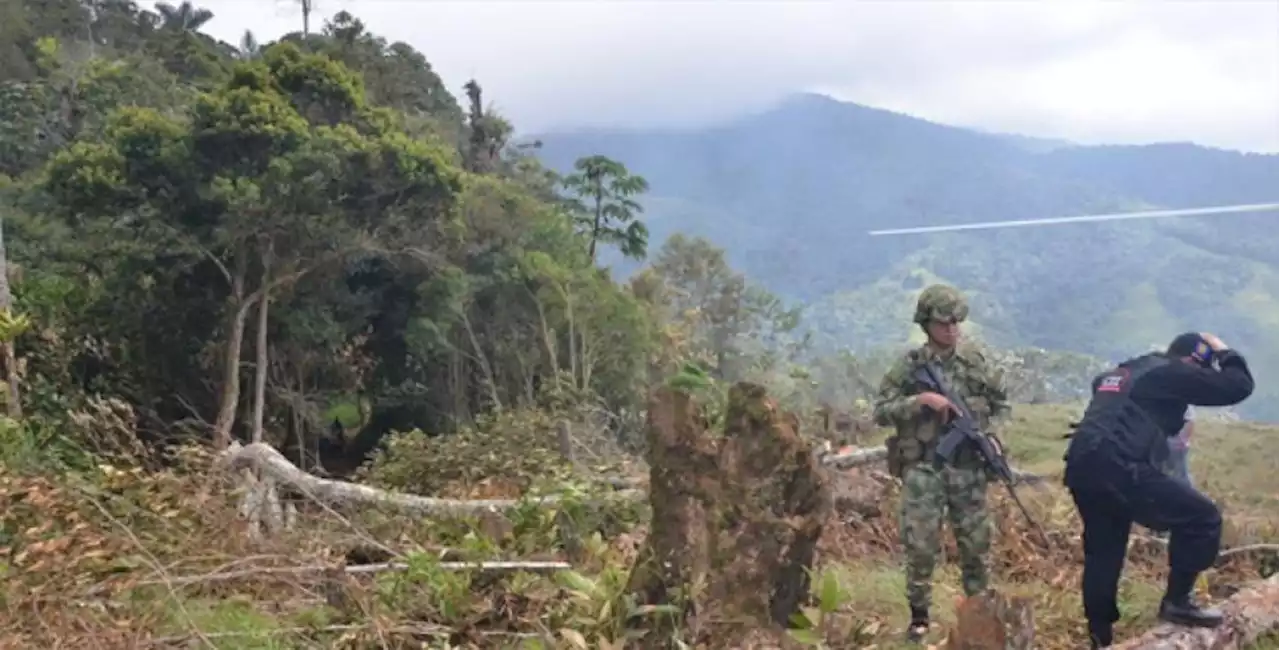 Masacre en la Sierra Nevada de Santa Marta fue por un hurto