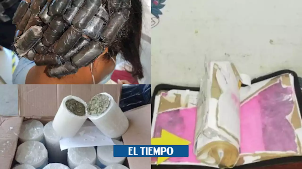 Los insólitos métodos que han utilizado los colombianos para camuflar drogas