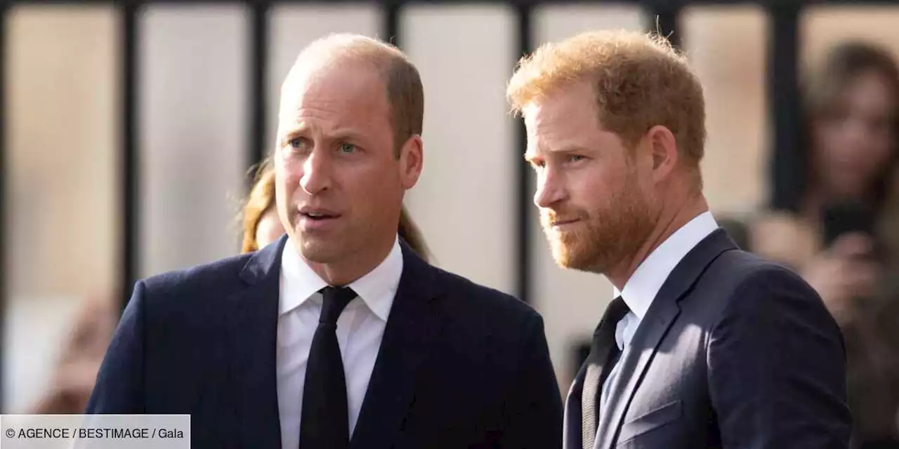 PHOTO – William et Harry : leur cousin Arthur Chatto n’est pas du genre frileux - Gala