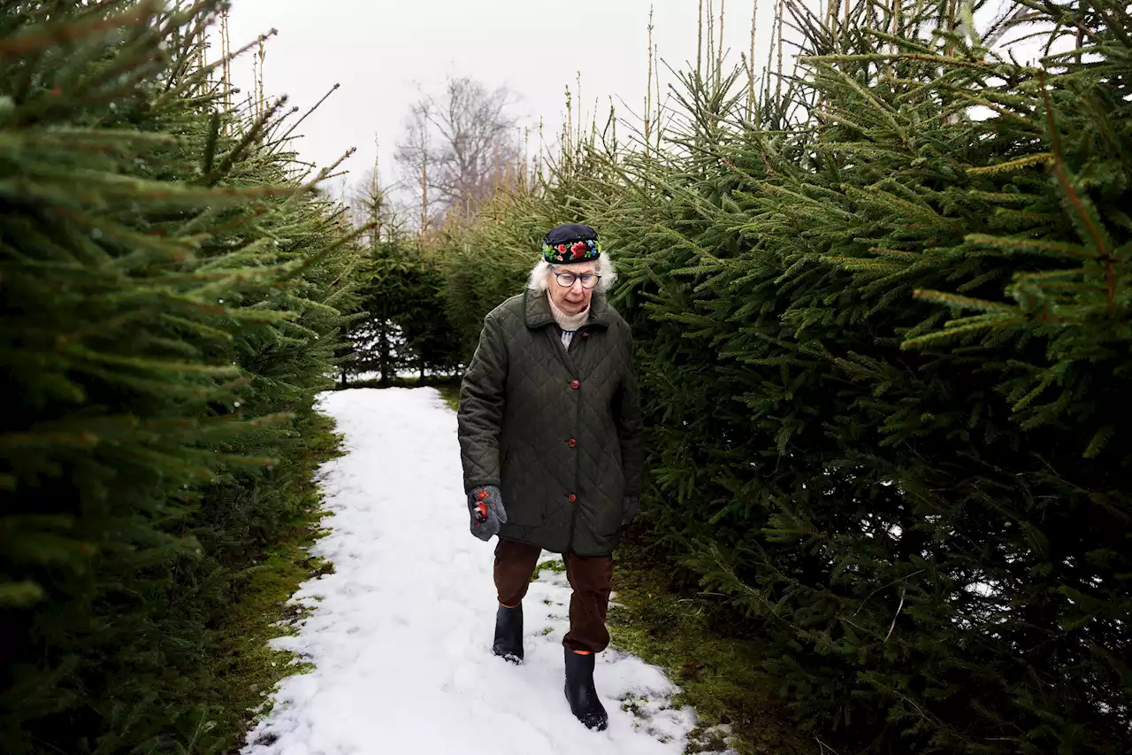 Marianne, 79, har en 900 meter lång labyrint