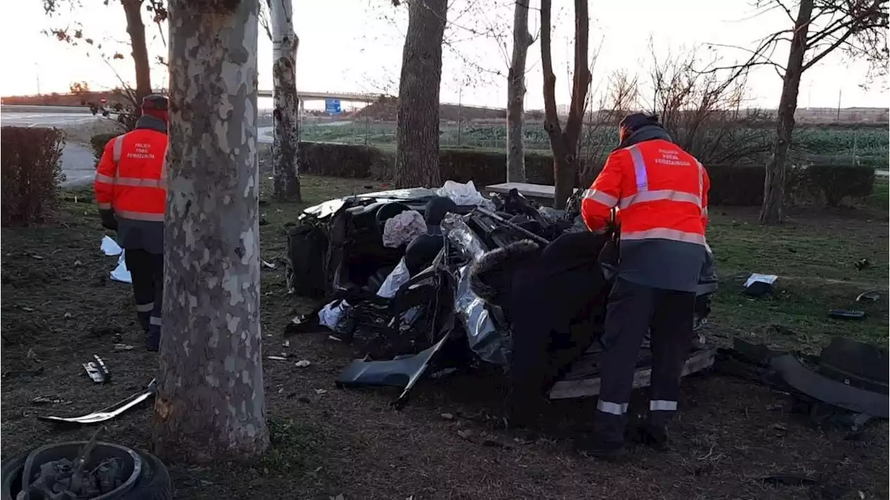 Dos muertos y un herido grave al chocar un vehículo contra un árbol en Navarra: investigan el accidente