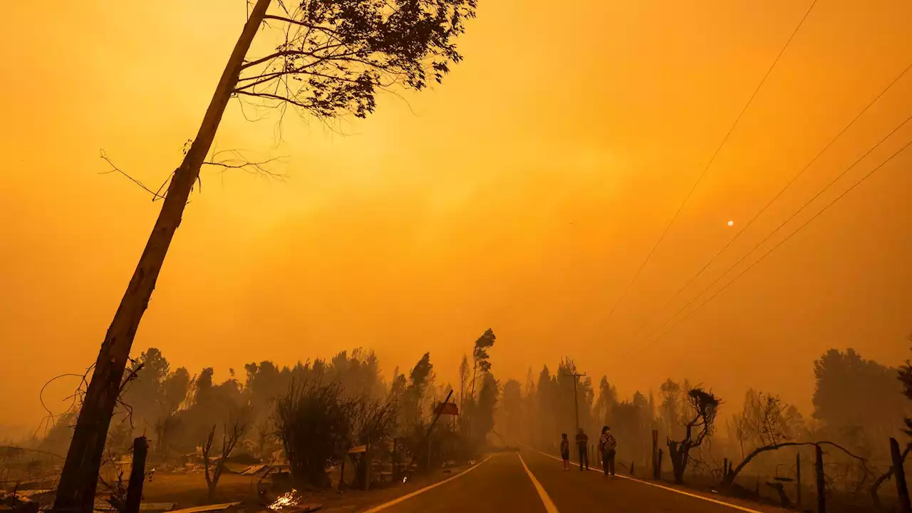 El fuego arrasa Chile: ya son 22 los muertos por los incendios forestales