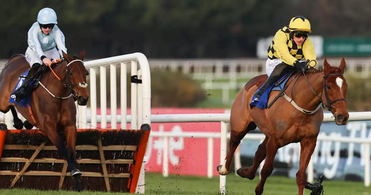 Retirement could beckon for Honeysuckle after Leopardstown defeat by State Man