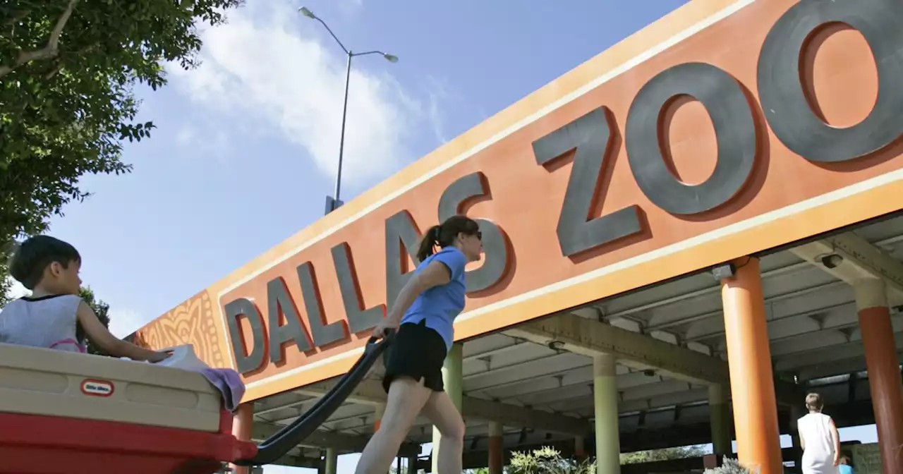 The Dallas Zoo saga serves as a reminder to remain vigilant, national accreditor says