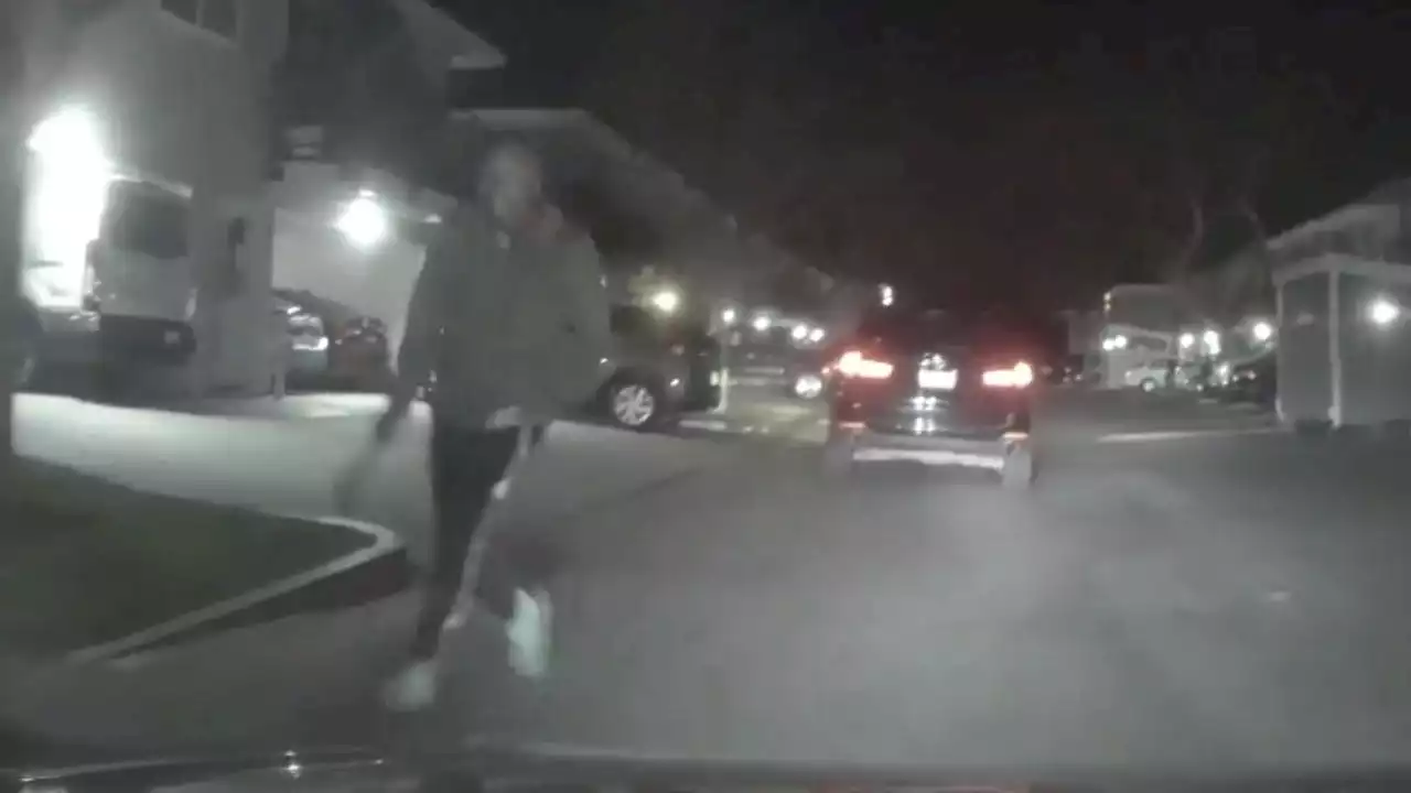 Road rage results in machete attack on San Jose food delivery driver: VIDEO