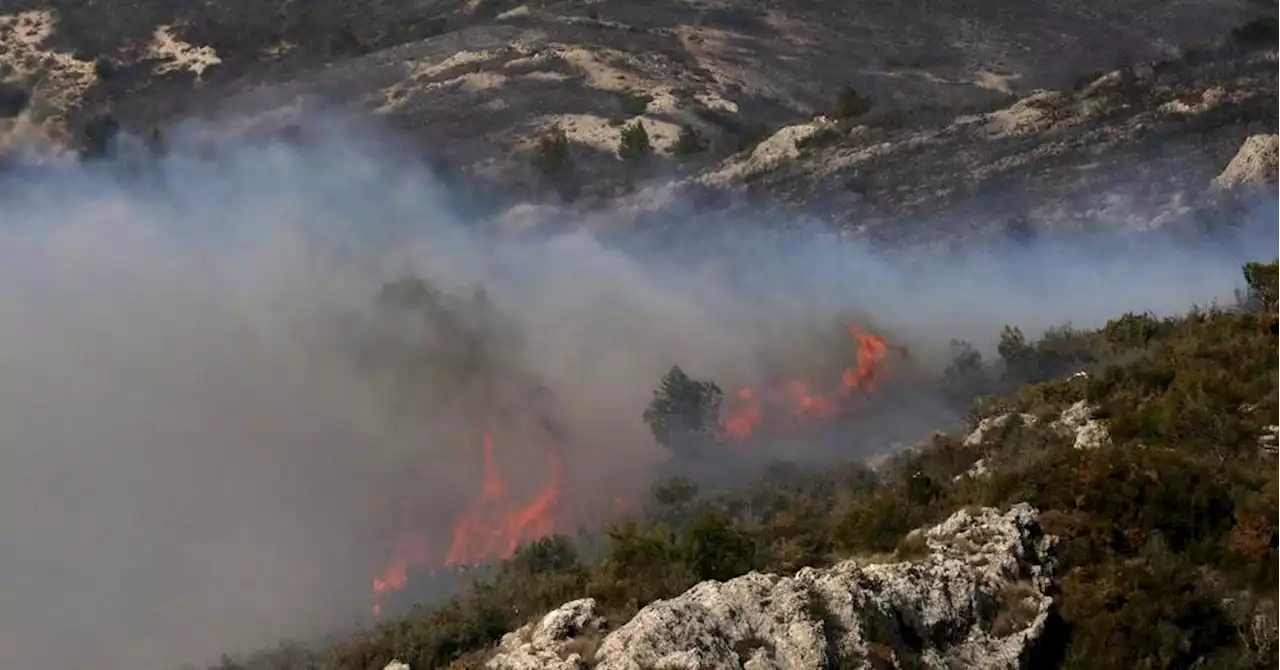 Mouriès : le premier feu de forêt de l'année au coeur de l'hiver