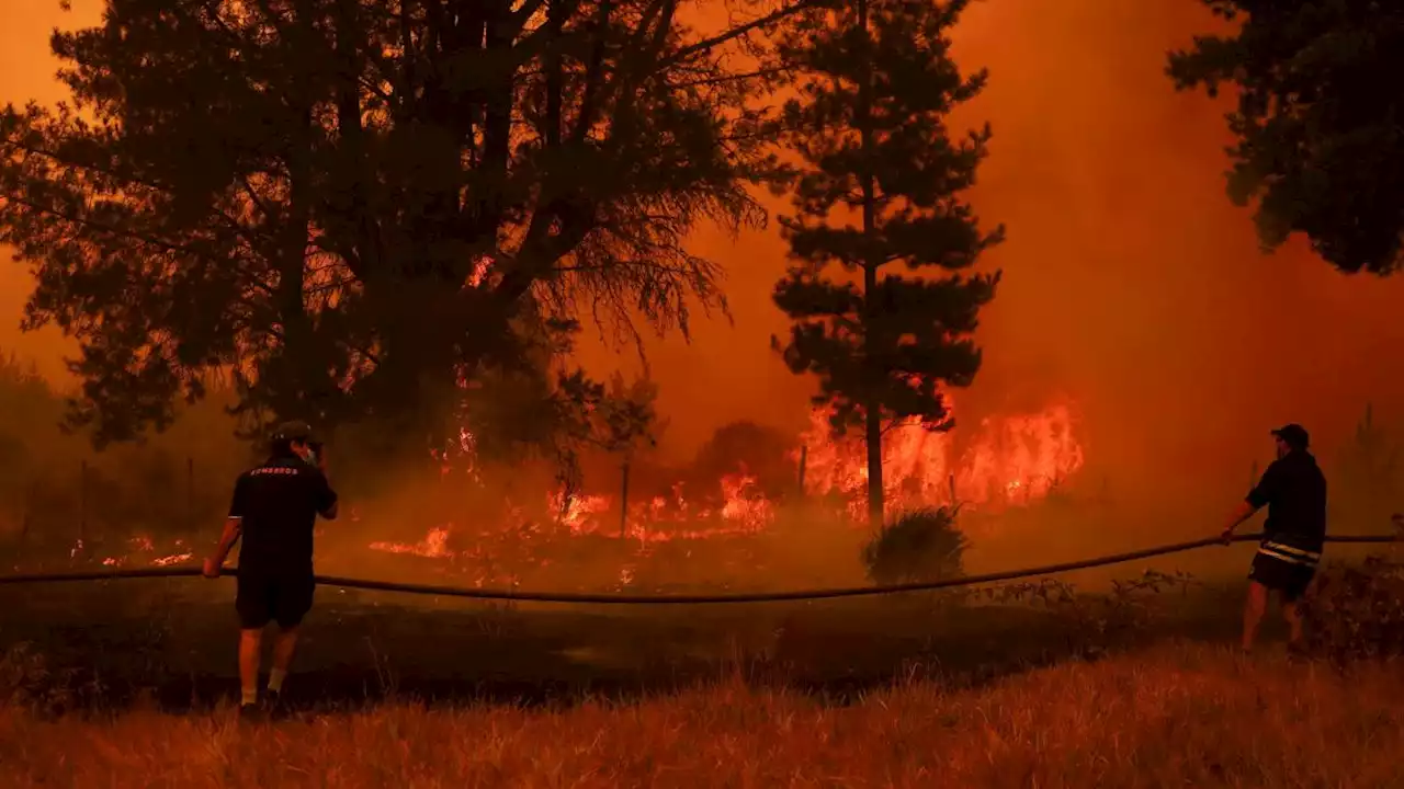 Chile pide ayuda internacional para sofocar incendios forestales; van 23 muertos