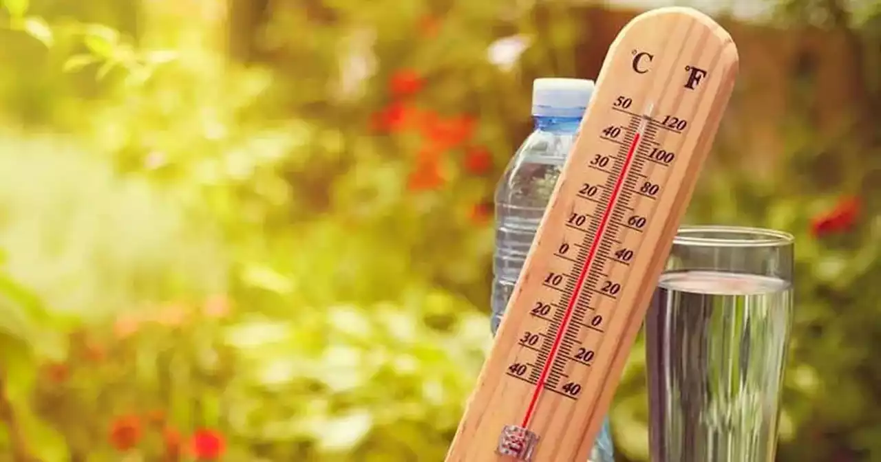 Tiempo en Córdoba: se acercan días de intenso calor | Ciudadanos | La Voz del Interior