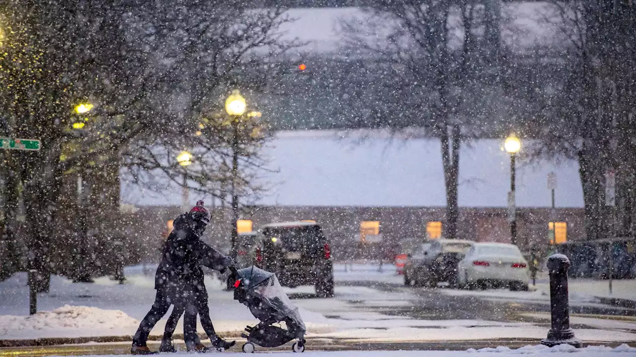 Que sont les cryoséismes, observés aux États-Unis avec le froid polaire ?