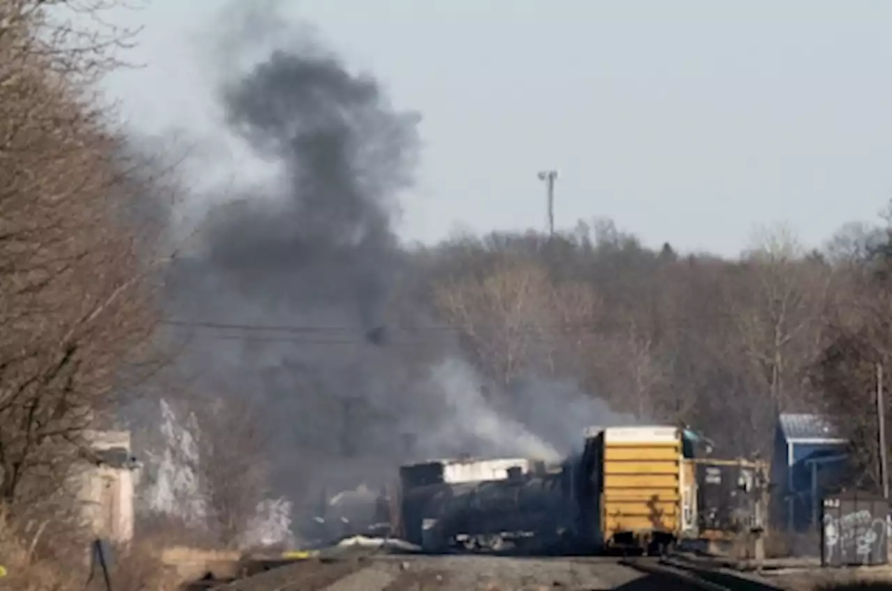 US cargo train derails, causing massive fire