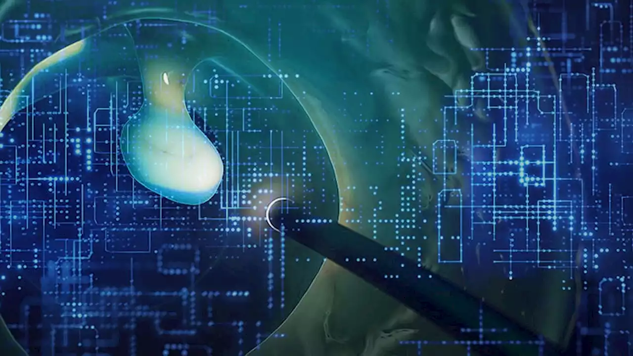Can AI Conquer the Late-Shift Dip in Colonoscopy Quality?