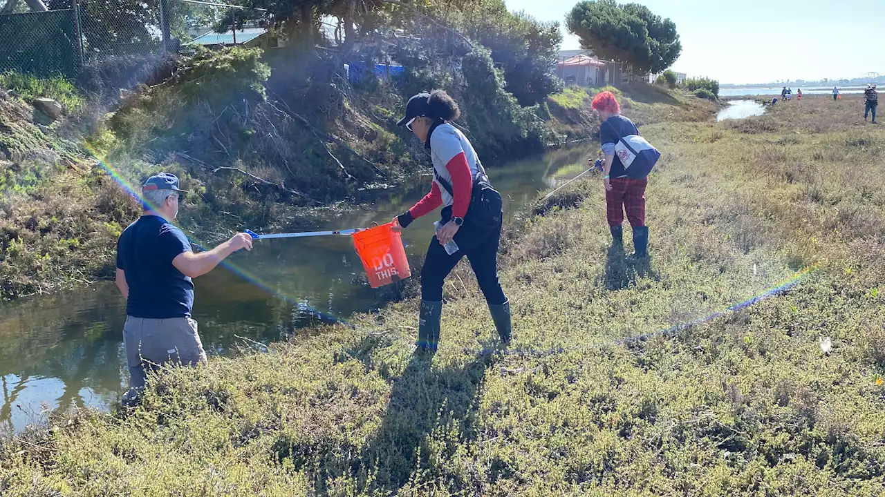 Hundreds of Volunteers Give Love to San Diego's Wetlands