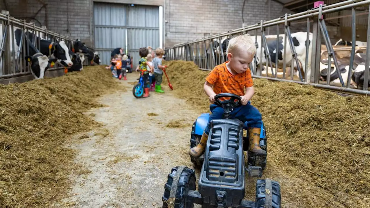 Veel vraag naar kinderopvang bij boer, maar regels belemmeren uitbreiding