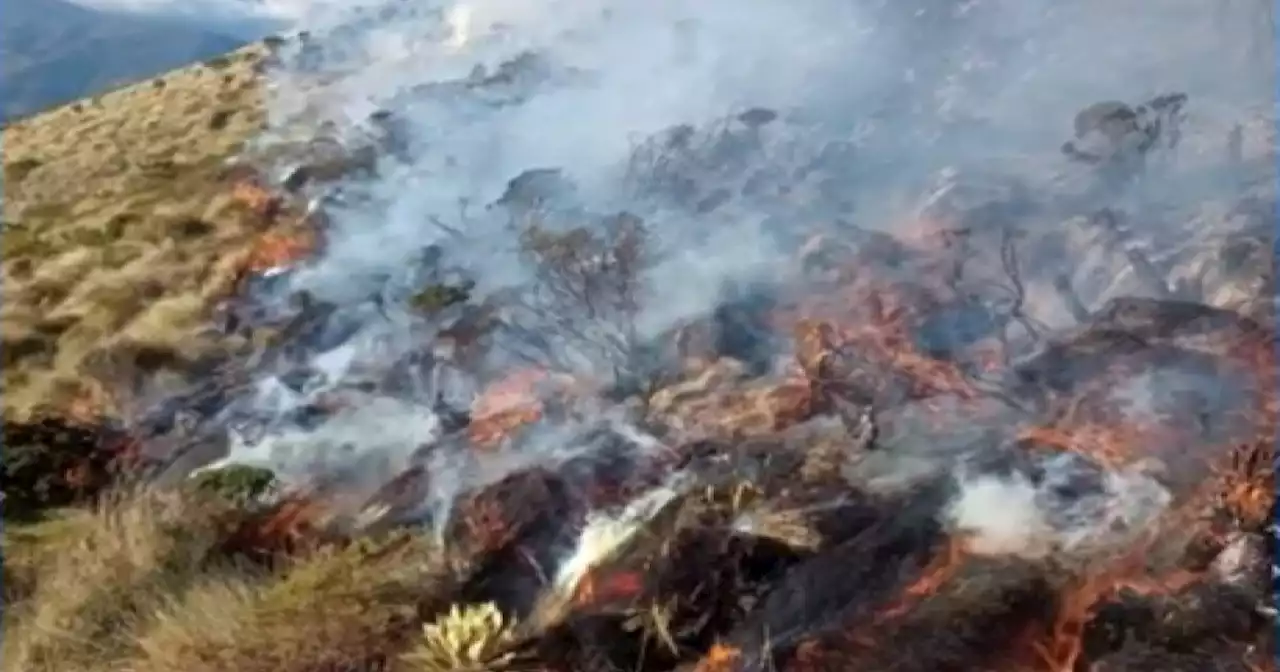 Incendios en Colombia: las llamas afectaron tres páramos en Boyacá, Cauca y Cundinamarca