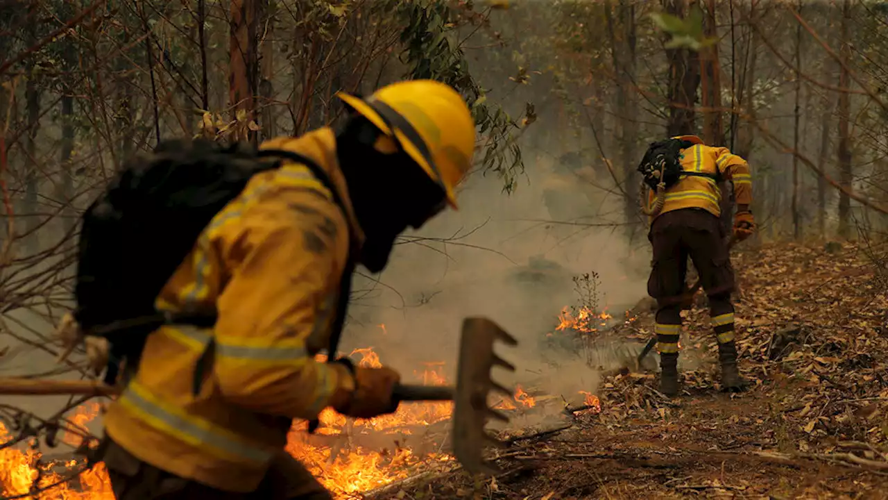 Chile pidió ayuda internacional para combatir los incendios forestales | Al menos 22 muertos y cientos de heridos