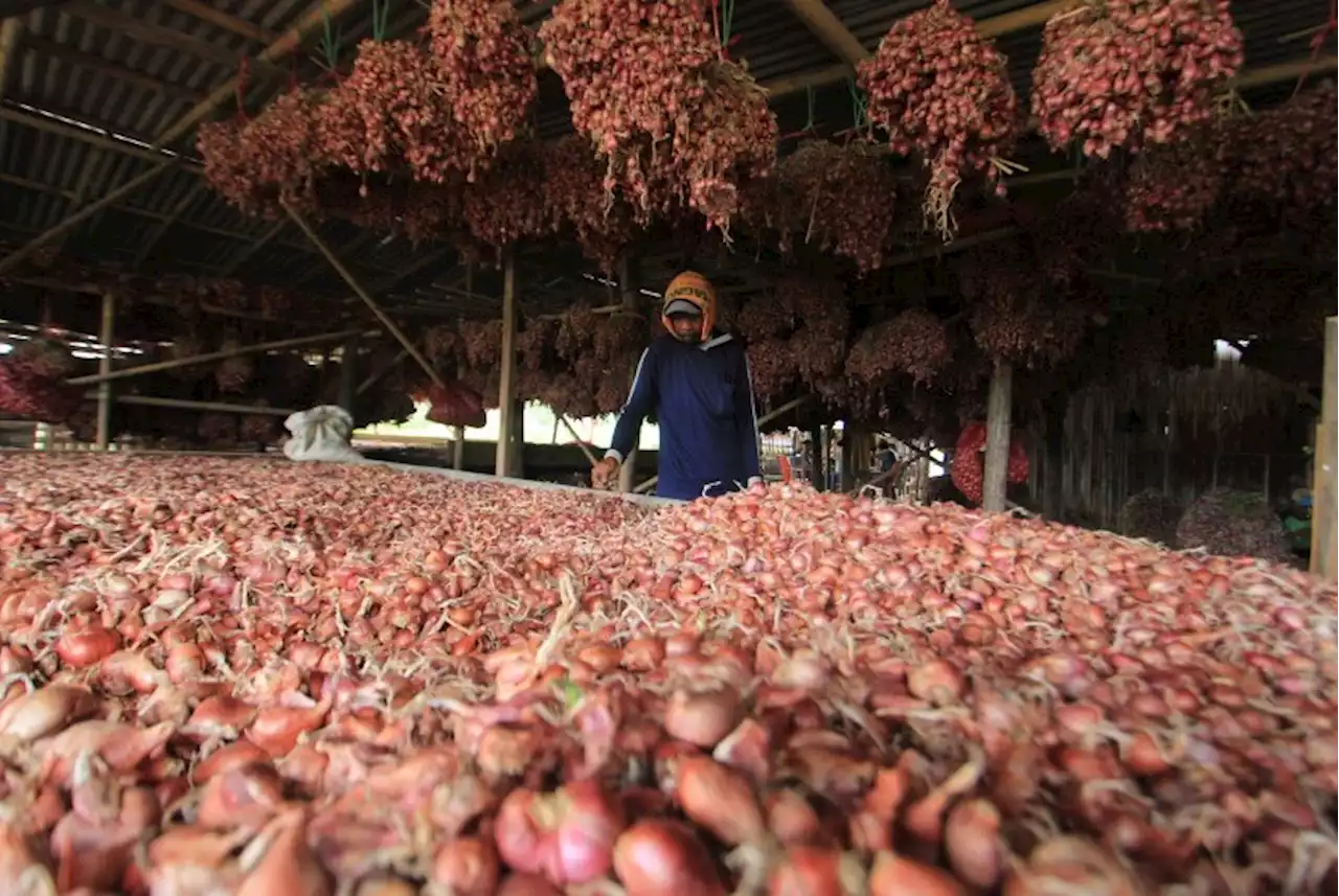 Harga Bawang Merah di Pasar Indramayu Meroket |Republika Online