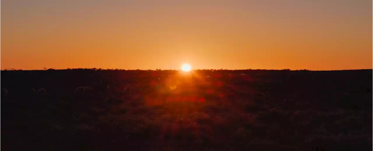 A Hidden Food Web Exists in The Desert, And It Thrives on Death