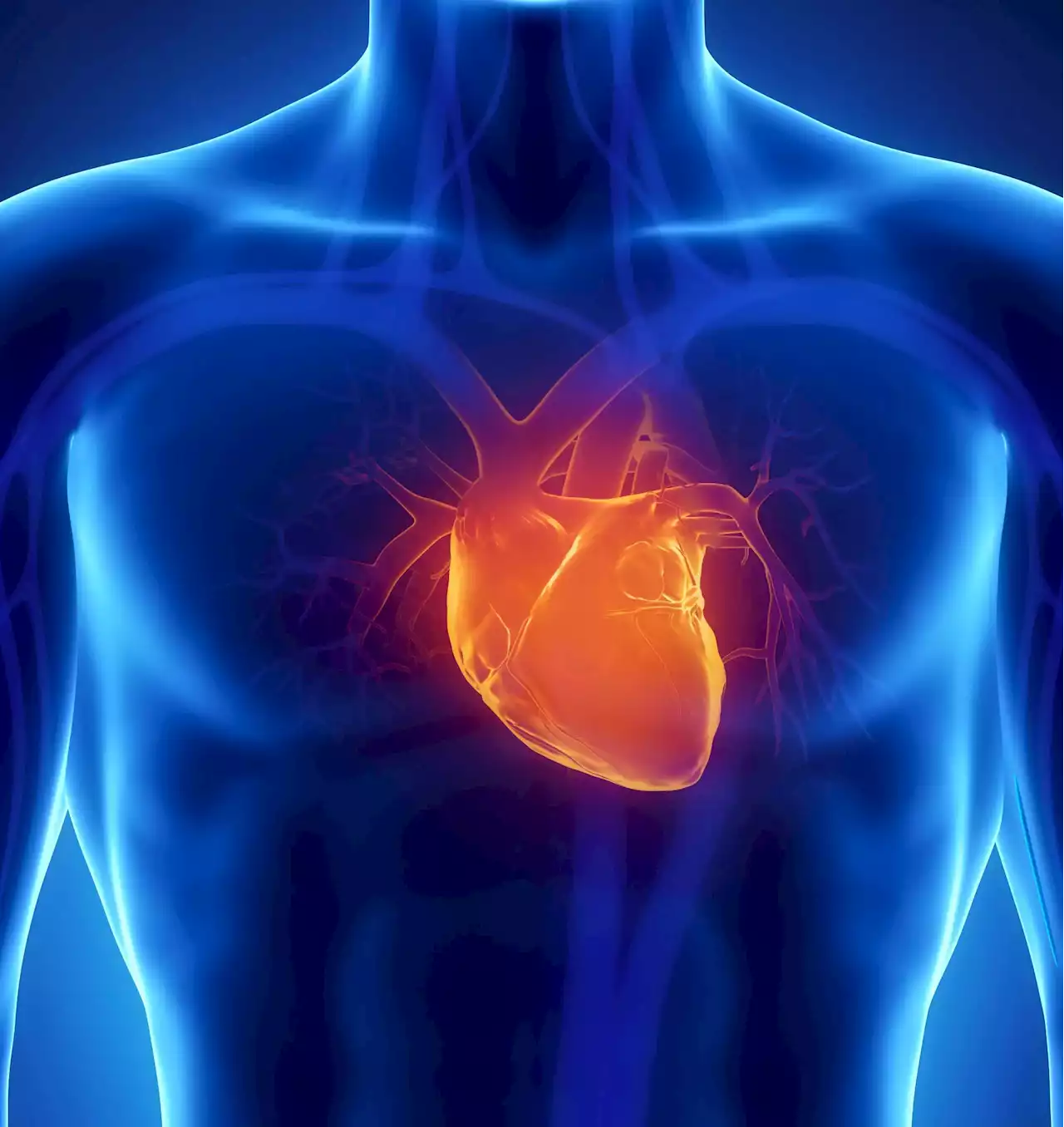 “Remarkable” Results – Scientists Discover That a Dietary Supplement Could Fix a Broken Heart