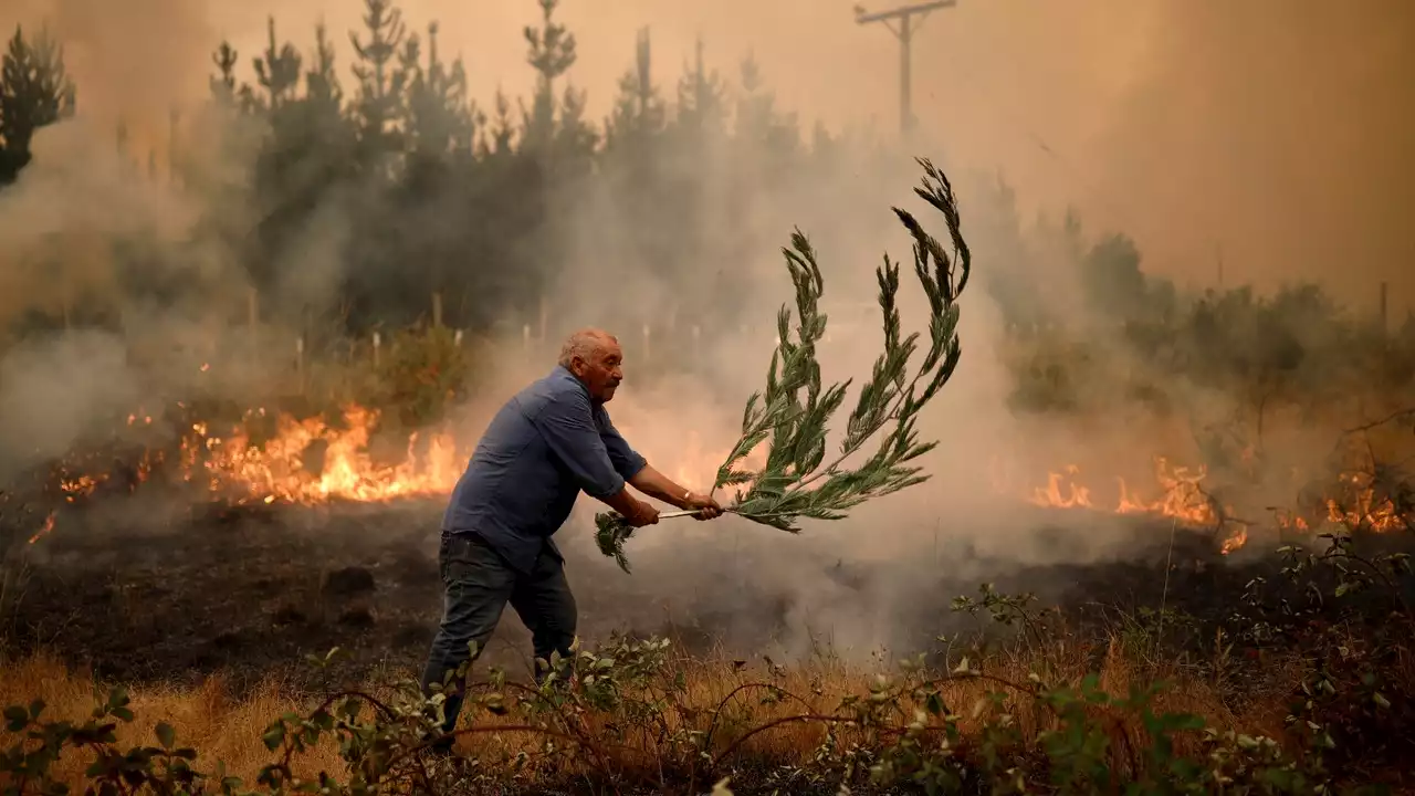 Chile pide ayuda internacional contra la ola de incendios que ya deja 23 muertos y 979 heridos