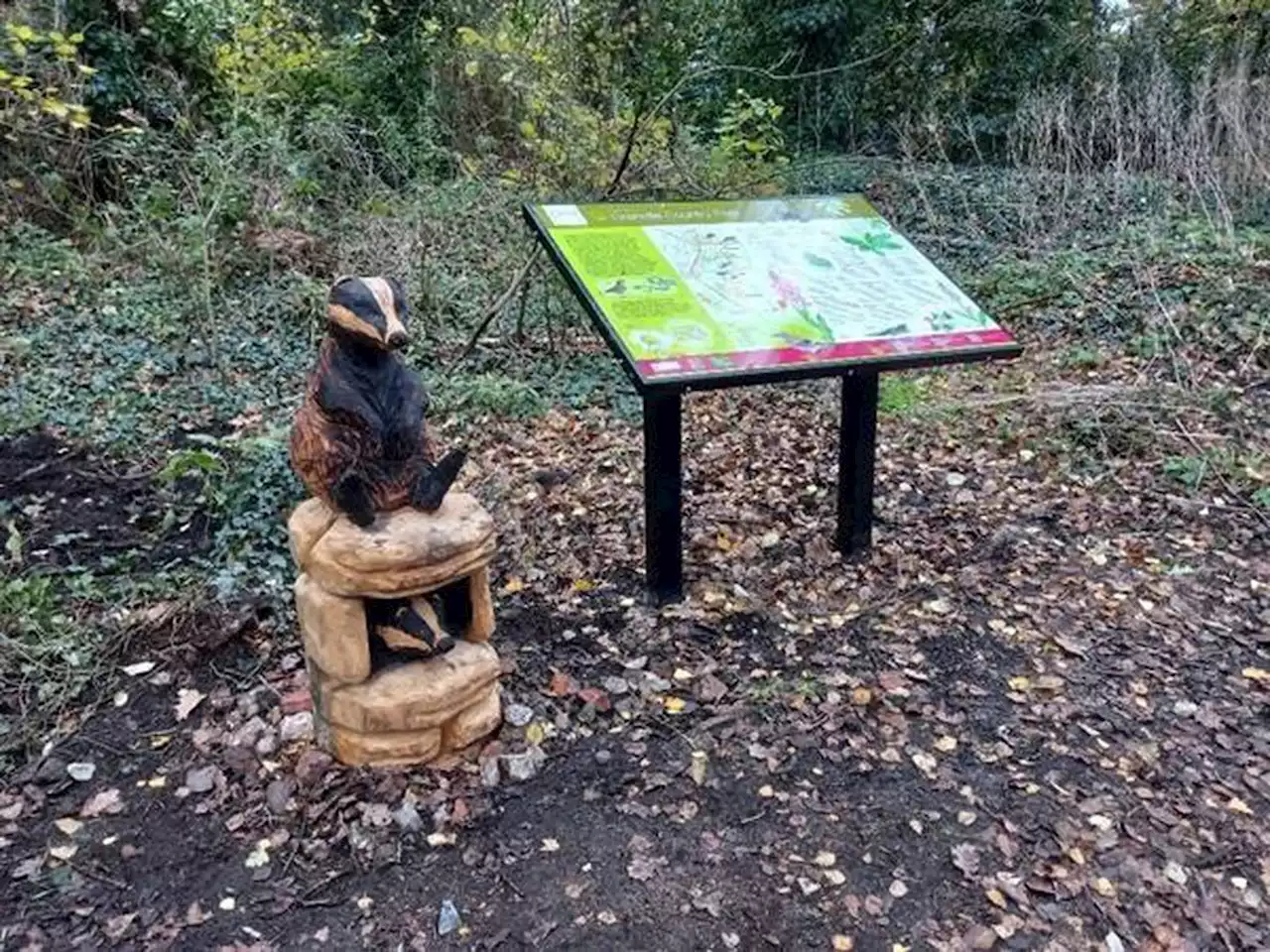 Police in Telford on the hunt for country park's missing badger statue