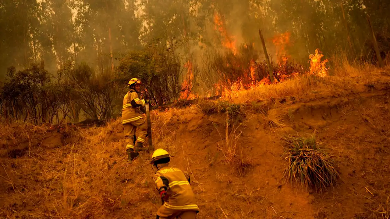 Chile: At least 22 dead and state of catastrophe declared after hundreds of wildfires rage