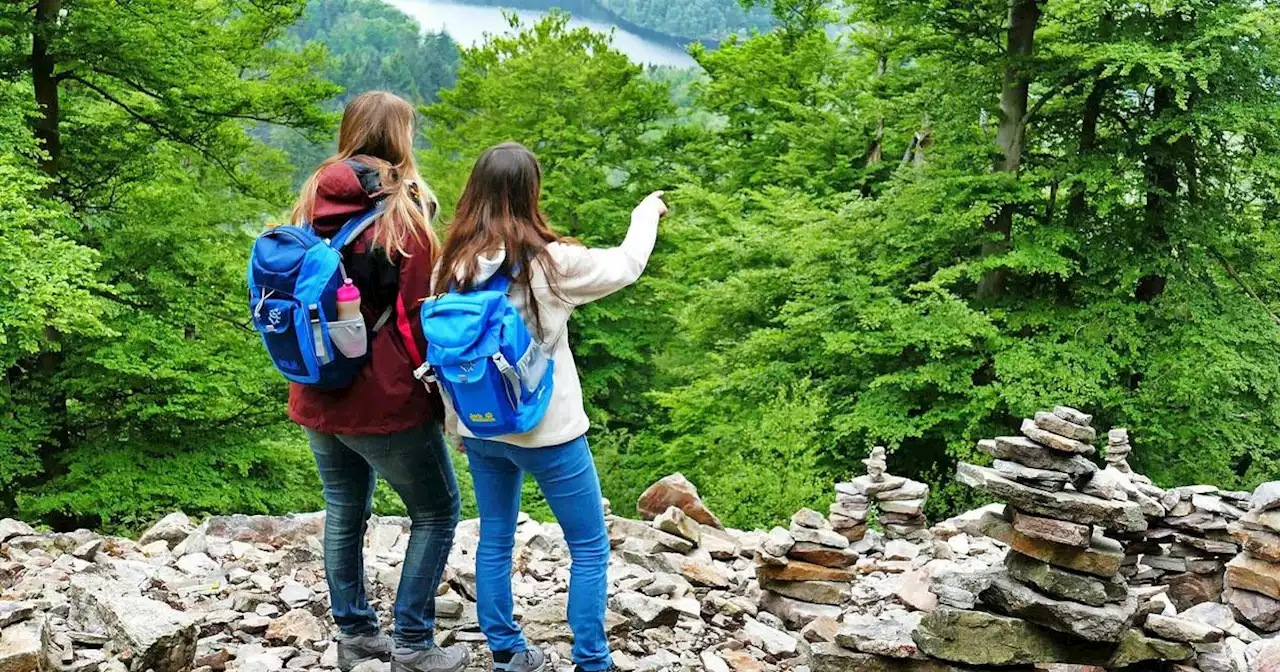 Wanderwege im Saarland: Toursimuszentrale Saarland will Wanderwege überarbeiten – das sind die Pläne