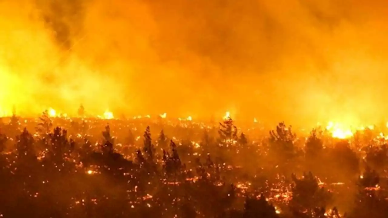 Chile: los incendios dejan 24 muertos, casi 1.000 heridos y 800 viviendas destruidas