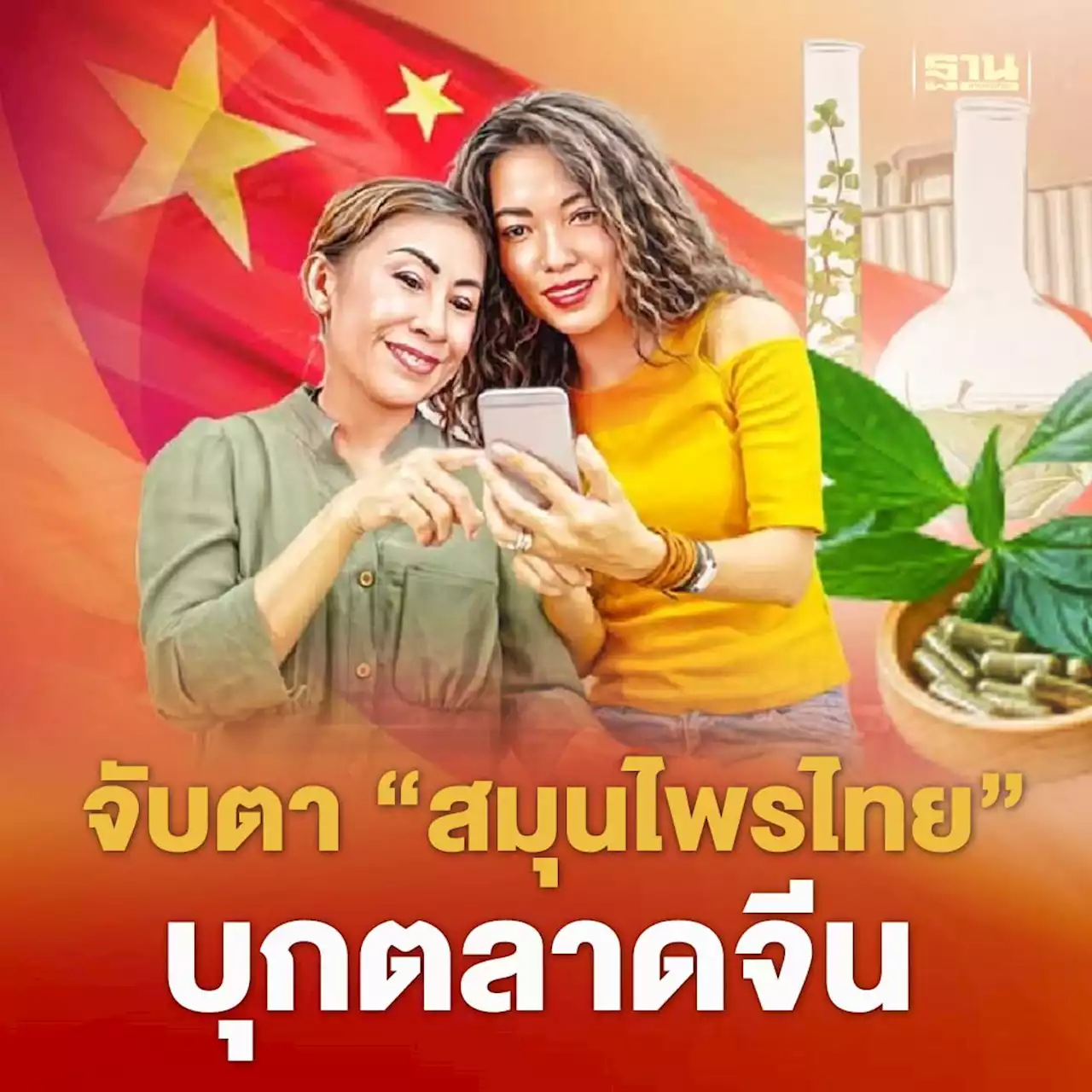 ชี้ช่อง ‘สมุนไพรไทย’ บุกตลาดจีน ชูนวัตกรรม-อีคอมเมิร์ซ เจาะสูงวัย