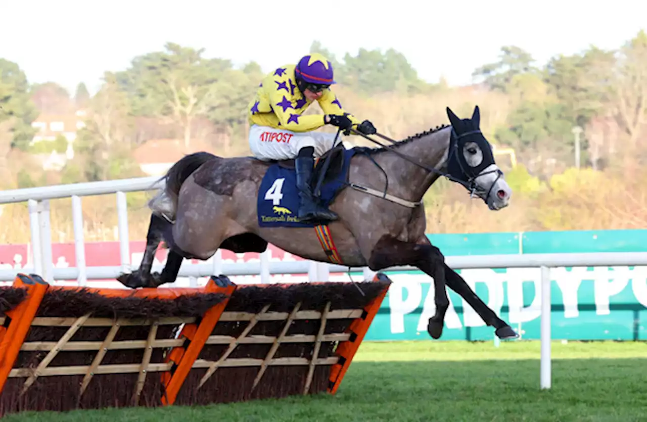 Il Etait Temps times it right, as Facile Vega disappoints at Leopardstown