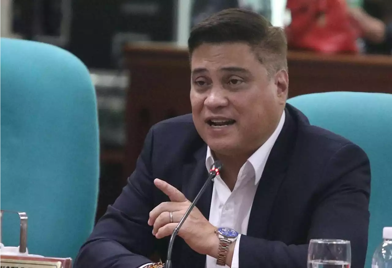 RCEP ratification likely - Zubiri