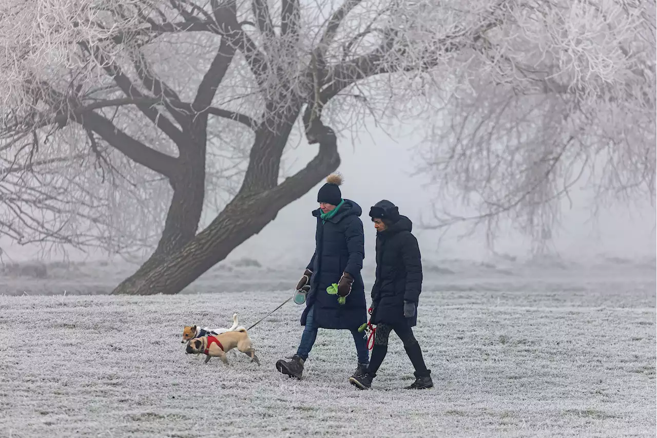 Urgent health warning to millions as temperatures to plunge below 0C in hours