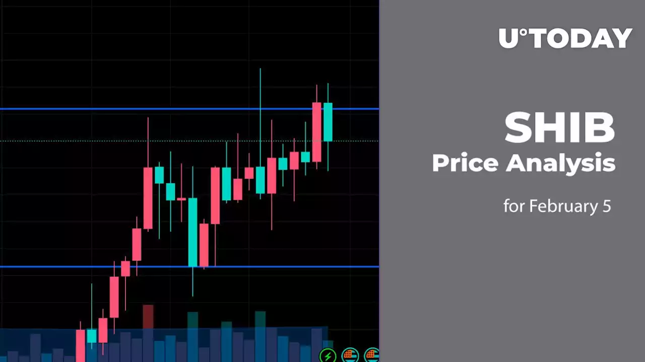 SHIB Price Analysis for February 5