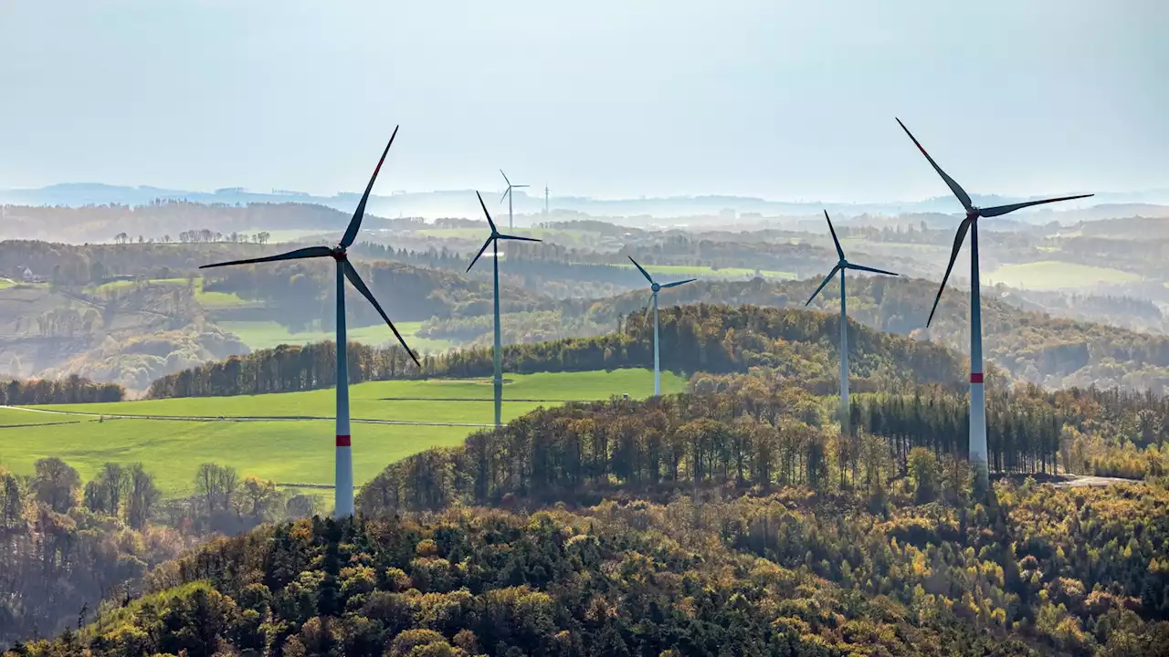 Scholz kündigt Windkraft-Fahrplan an: Jeden Tag fünf neue Windräder