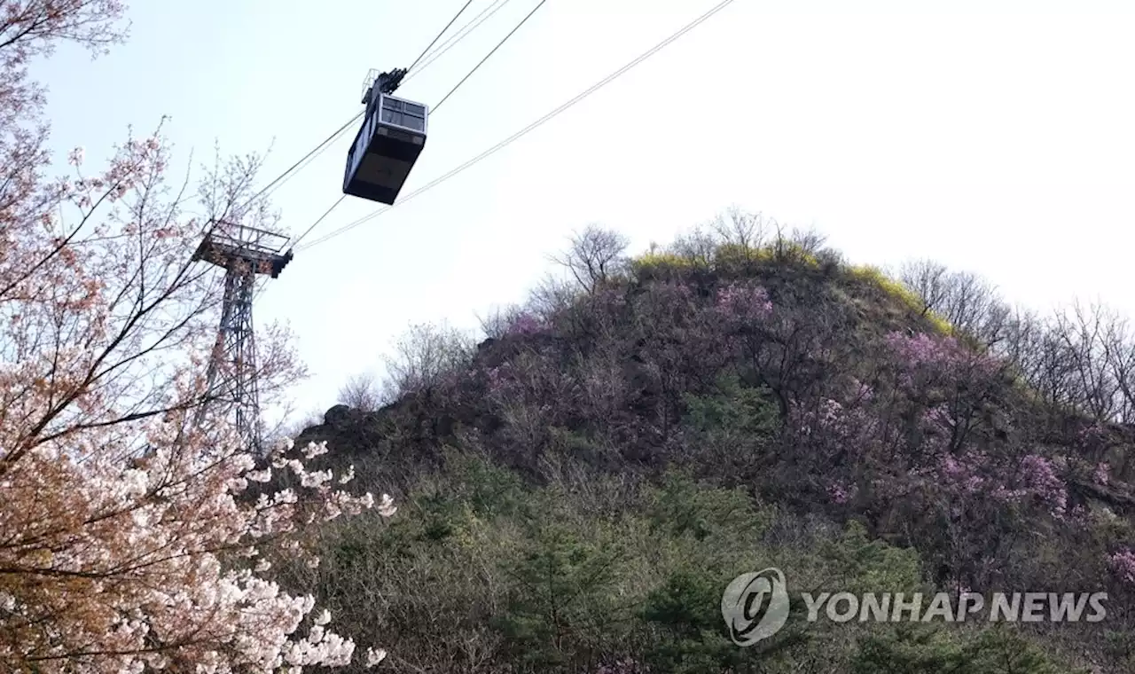 60년 된 남산 케이블카, 독점운영 논란 속 200억 들여 개보수 | 연합뉴스