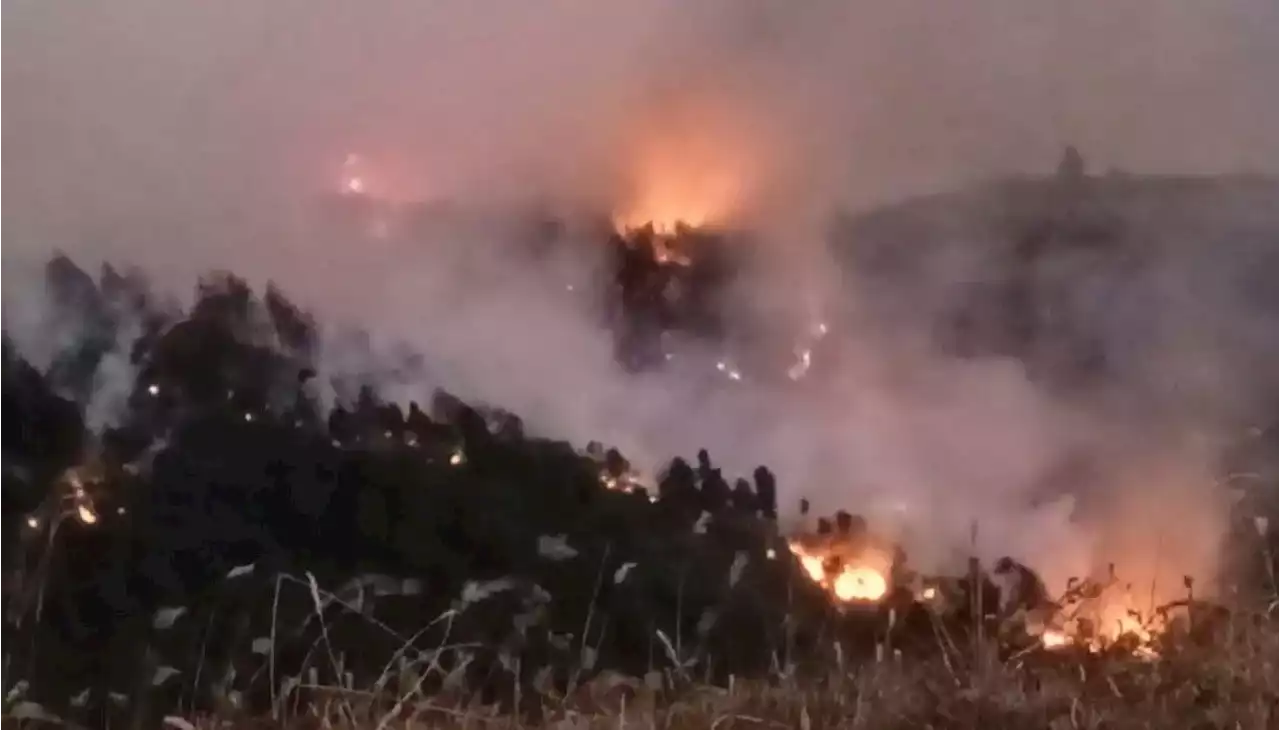 UNGRD alerta por incendios forestales: se extienden y amenazan a tres departamentos