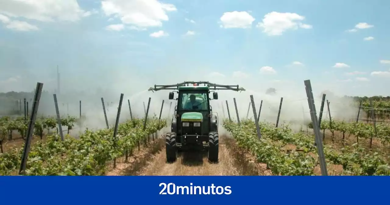 El SMI ya supera el 80% del salario medio de la agricultura y la hostelería