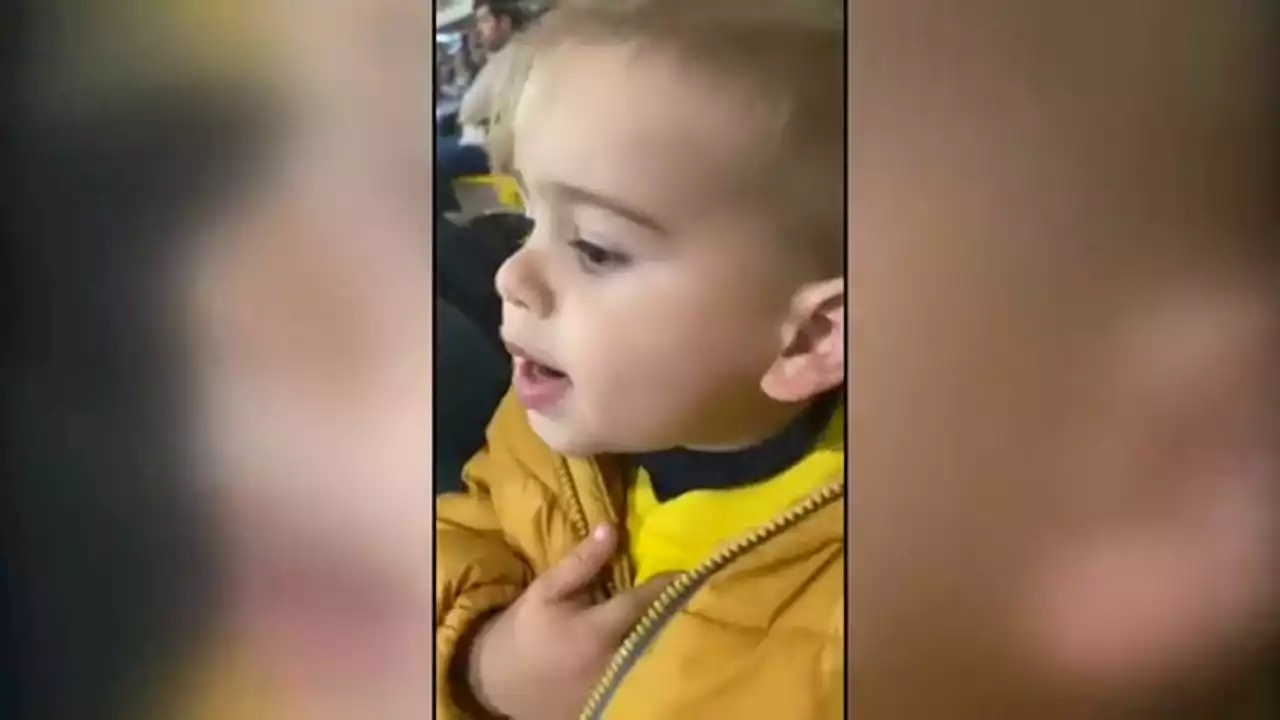 Liam Manuel, el niño viral que anima a la UD Las Palmas