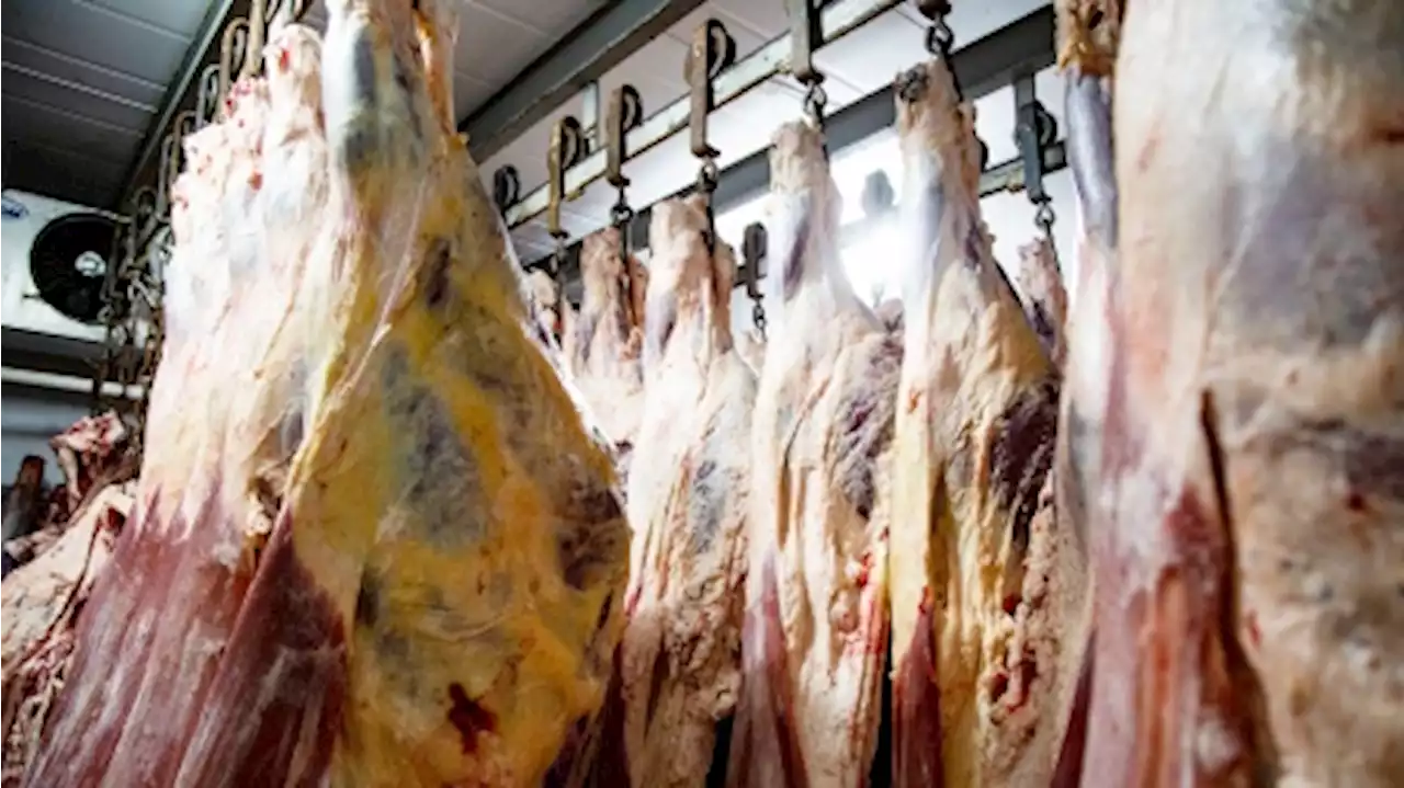 Habrá un 10% de descuento para la compra de carne vacuna con tarjeta de débito