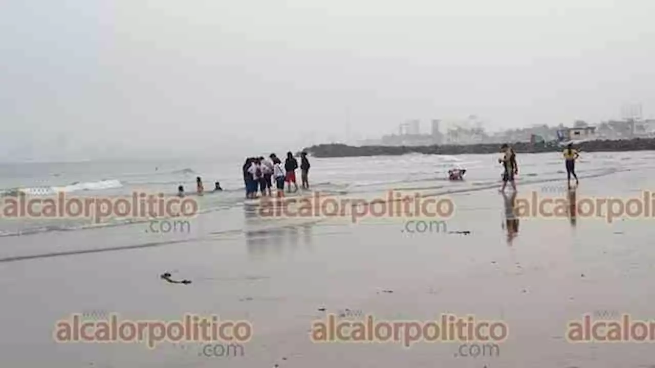 Despiden el último día de puente en playa de Veracruz Puerto