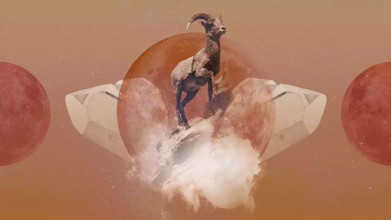 Your Aries February 2023 Horoscope Predictions Are Here